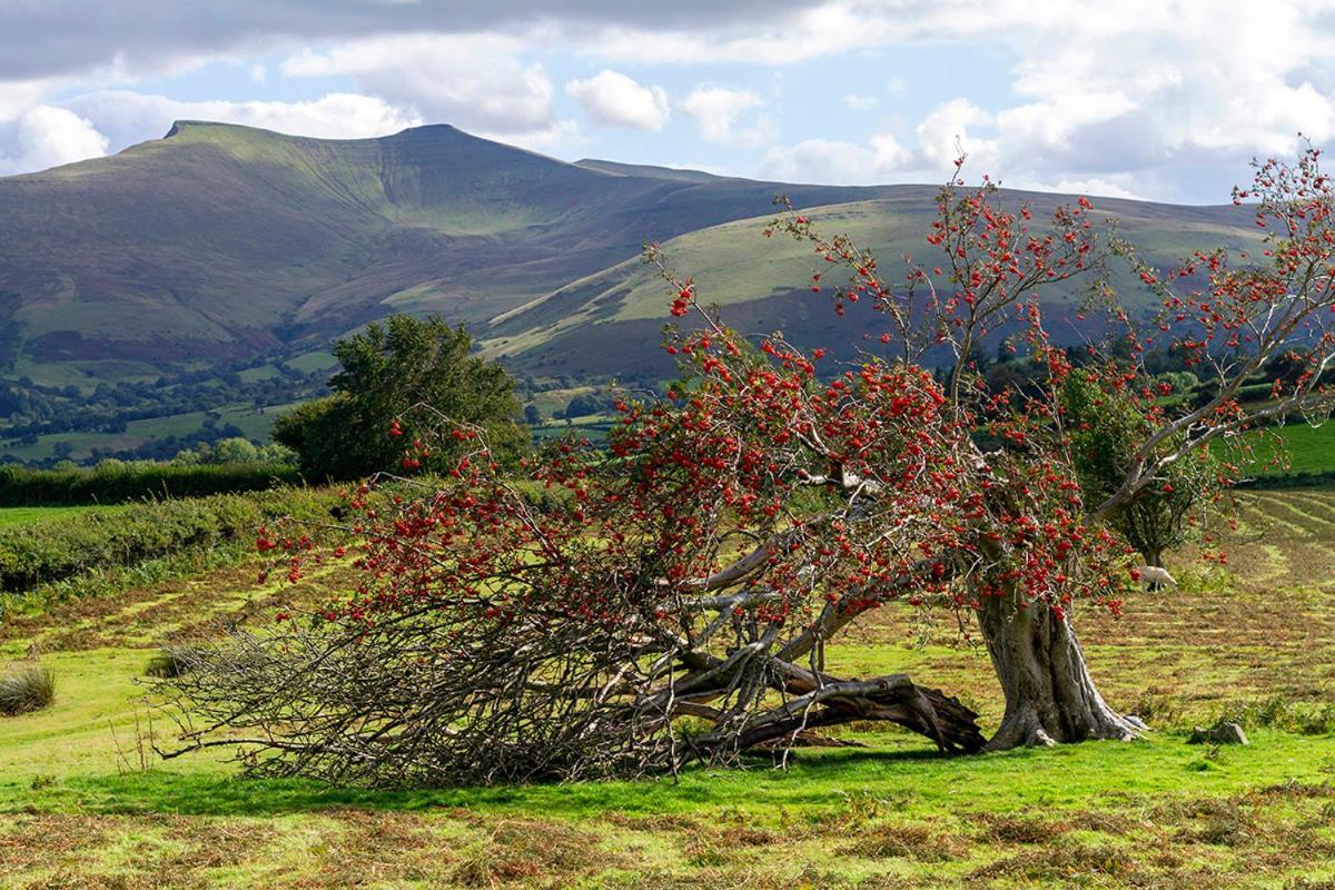 Picturesque 2 Bedroom Miners Cottage Near Bike Park Wales&Brecon Beacons Merthyr Tydfil Extérieur photo